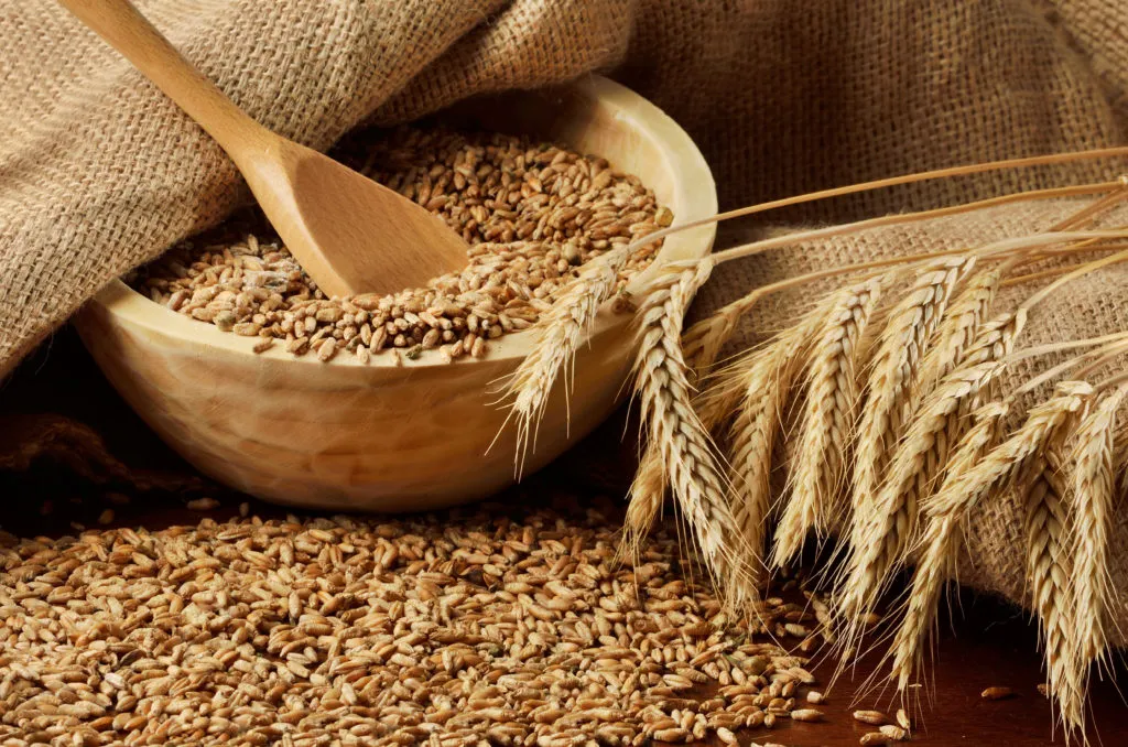 пшеница протеин 12,5% в Астрахани