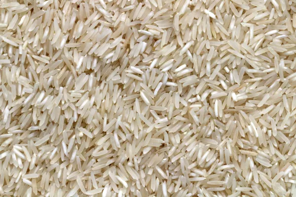 Астраханская область вернулась к выращиванию северного риса после десятилетнего перерыва