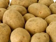 фотография продукта Картофель семенной 
