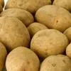 картофель семенной  в Астрахани и Астраханской области